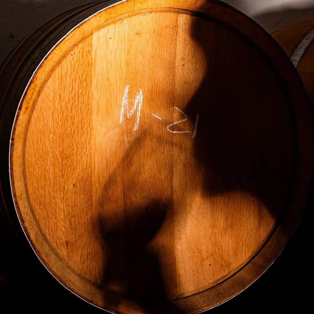 Vinos para regalar para amantes del vino, con una silueta de una persona bebiendo vino